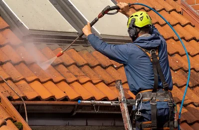 Démoussage et hydrofuge de toiture à Long